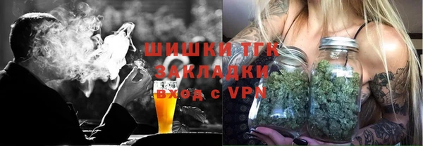 спиды Горняк