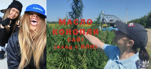 спиды Горняк