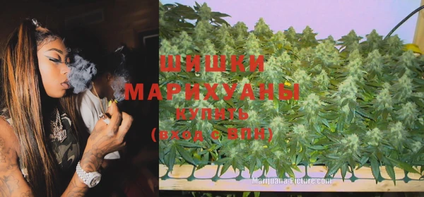 спиды Горняк