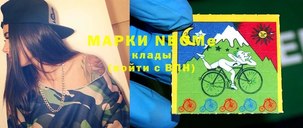 спиды Горняк