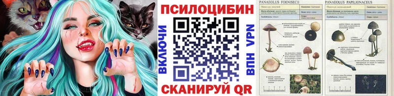 ссылка на мегу ТОР  Черноголовка  Псилоцибиновые грибы прущие грибы 
